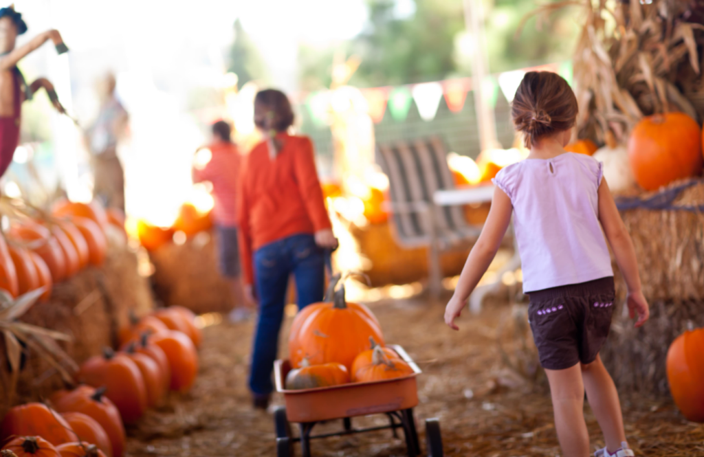 Flower Mound Independence Fest and the Pumpkin Patch